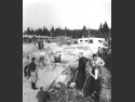 Więźniowie obozu podczas pracy przy wznoszeniu magazynu na ziemniaki - Yad Vashem Photo Archive